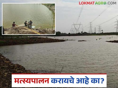 Latest News Fish farming Pure seeds for fish farming will be available from Krishi Vigyan Kendra | Fish Farming : तुम्हाला मत्स्यपालन करायचे आहे का? मग इथे मिळतील शुद्ध बीज, वाचा सविस्तर