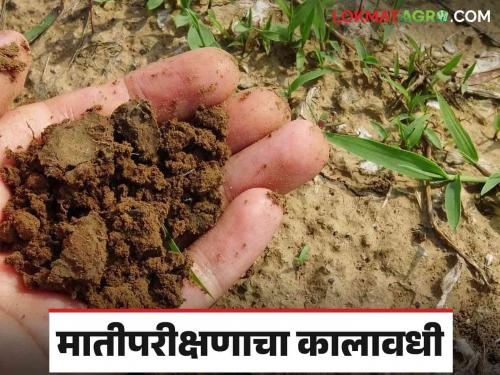 Latest News Soil Testing After how many years should soil test be done Know in detail  | Soil Testing : मातीपरीक्षण किती वर्षांनंतर करायला हवे? जाणून घ्या सविस्तर 