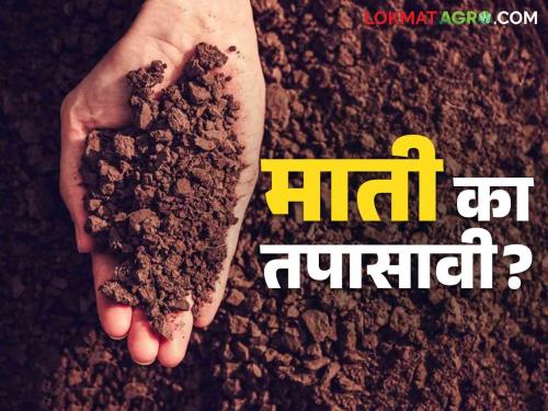 Mati Parikshan : After how many years should soil test be done to take care of soil health? | Mati Parikshan : मातीच्या तब्येतीची काळजी घेण्यासाठी किती वर्षांनी कराल माती परीक्षण?