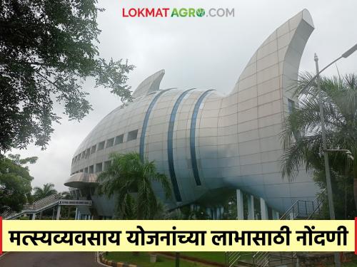 Latest News Agriculture News Invitation to register for benefits of fisheries schemes, register here  | Agriculture News : मत्स्यव्यवसाय योजनांच्या लाभासाठी नोंदणी करण्याचे आवाहन, इथे करा नोंदणी 