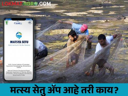 Latest News Matsya Setu app is essential for information about fish farming | मत्स्य पालनाबाबतची ए टू झेड माहिती एका क्लिकवर, फक्त हे काम करा... 