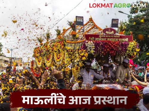 Mauli's palakhi departs from Alandi today, where and when will it stop? Know the details | माऊलींच्या पालखीचे आळंदीतून आज प्रस्थान, कुठे कधी मुक्काम? जाणून घ्या सविस्तर