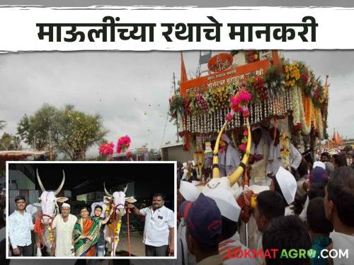 Dnyaneshwar Mauli Palkhi Sohala; This year the honor of pulling Mauli's Ratha went to Haushya and Baji bullock pair | Dnyaneshwar Mauli Palkhi Sohala यंदा माऊलींचा रथ ओढण्याचा मान हौश्या अन् बाजीला