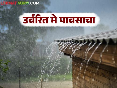What will the rainfall forecast be like for the rest of May; Know in detail | उर्वरित मे महिन्यात कसा राहील पावसाचा अंदाज; जाणून घ्या सविस्तर