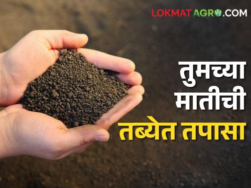 Kharif Season ahead check the health of your soil through soil testing | Soil Testing खरीप आला आपल्या मातीचं आरोग्य तपासून घ्या