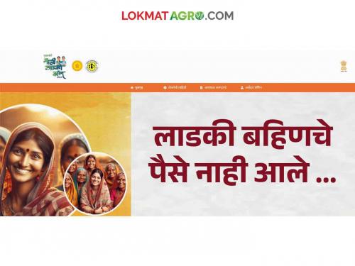 Ladki Bahin Yojana : Ladki Bahin Yojana form has been filled but money has not been received Do this for getting money | Ladki Bahin Yojana : लाडकी बहीण योजनेचा फॉर्म भरलाय पण पैसे मिळाले नाहीत हे करा मिळतील पैसे