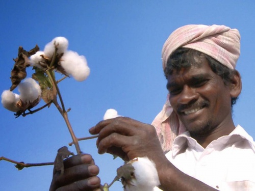 What happened in the Legislative Assembly today regarding cotton farmers? These demands for price increase.. | कापूस उत्पादक शेतकऱ्यांबाबत आज विधानसभेत काय झालं? भाववाढीसाठी या मागण्या..