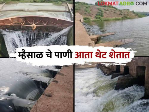 Mhaisal Irrigation Project : The water of the improved Mhaisal project is directly in the farmers fields.. Read in detail how the planning is done | Mhaisal Irrigation Project : सुधारित म्हैसाळ प्रकल्पाचे पाणी थेट शेतकऱ्यांच्या शेतात.. वाचा सविस्तर कसं केलंय नियोजन