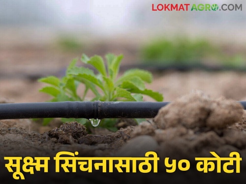 How many crores have been approved for Chief Minister Sustainable Agriculture Irrigation Scheme | मुख्यमंत्री शाश्वत कृषि सिंचन योजनेसाठी झाले किती कोटी मंजूर