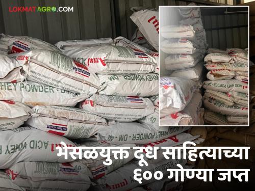 Adulterated milk: 600 sacks of powder used to make adulterated milk were raided and seized | Adulterated milk : भेसळयुक्त दुधाची निर्मिती करण्यासाठी वापरण्यात येणाऱ्या पावडरच्या ६०० गोण्या धाड टाकून जप्त