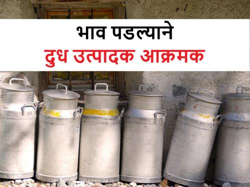 Milk Prices: Milk producers aggressive due to falling prices; Movement in Nagar district | Milk Prices: भाव गडगडल्याने दूध उत्पादक आक्रमक; नगर जिल्ह्यात आंदोलनाचा पावित्रा