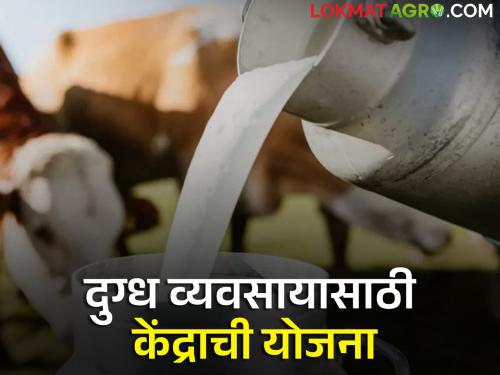 Good news for dairy cooperatives and milk producers; This scheme will be restarted | दुग्धोत्पादन सहकारी संस्थांना व दूध उत्पादकांना गुड न्यूज; ही योजना होणार पुन्हा सुरु