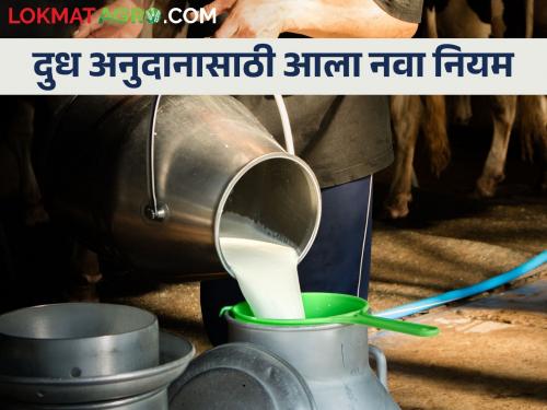 For milk subsidy, information can now be filled every 10 days instead of every day | दूध अनुदानासाठी आता दिवसाऐवजी दहा दिवसाला माहिती भरता येणार