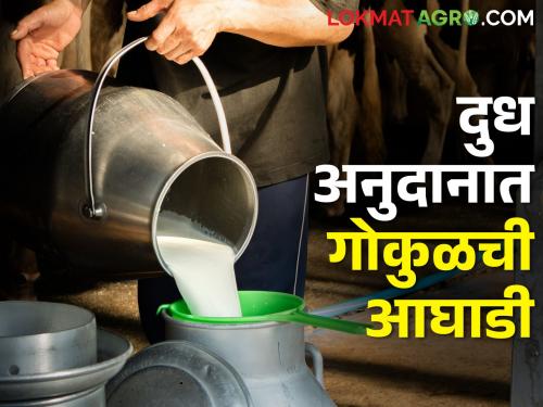 73 lakh milk subsidy to 7449 farmers in the state; Did you got benefit? | राज्यात ७४४९ शेतकऱ्यांना ७३ लाखांचे दुध अनुदान; तुम्हाला मिळाला का फायदा?