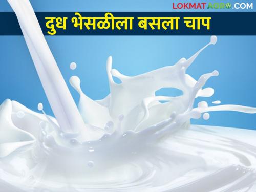 The scheme of milk subsidy is failing but the milk adulteration stop some percentage | योजना दूध अनुदानाची, धसका बसतोय मात्र भेसळखोरांना