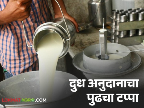 So many milk producers in Kolhapur district will be deprived of subsidy | कोल्हापूर जिल्ह्यात एवढे दूध उत्पादक राहणार अनुदानापासून वंचित