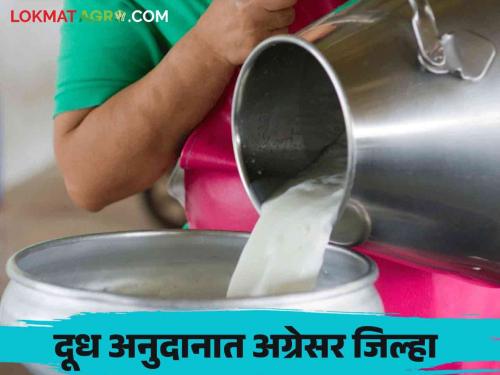 Dudh Anudan: One lakh seventy five thousand milk producers of this district received milk subsidy of Rs 96 crore | Dudh Anudan : या जिल्ह्यातील पावणेदोन लाख दूध उत्पादकांना मिळाले ९६ कोटीचे दूध अनुदान