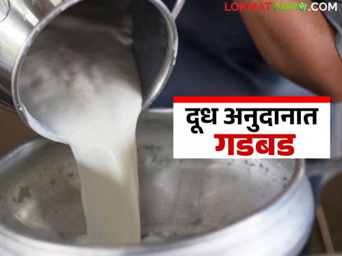 Dudh Anudan : Big mess in milk subsidy; Inspection of 258 milk institutes in these three districts begins | Dudh Anudan : दूध अनुदानात मोठी गडबड; या तीन जिल्ह्यातील २५८ दूध संस्थांची तपासणी सुरू