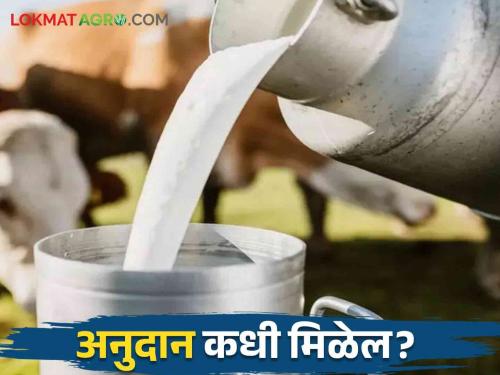 Dudh Anudan: Subsidy of milk producers stopped, 90 percent farmers in waiting | Dudh Anudan : दूध उत्पादकांचे अनुदान रखडले ९० टक्के शेतकऱ्यांना प्रतीक्षा