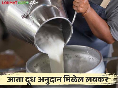 Dudh Anudan: milk subsidy will be available soon, major changes made for data collection | Dudh Anudan: दूध अनुदान लवकर मिळणार, माहिती संकलनासाठी केले हे मोठे बदल