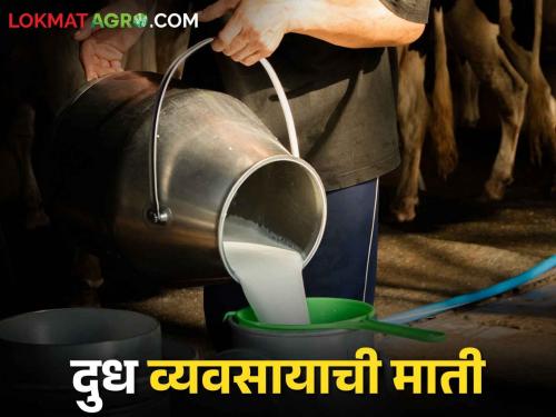 Milk Rate; increased milk rate how to decreased day by day | Milk Rate वाढलेला दुधाचा दर दिवसेंदिवस कसा कमी होत गेला