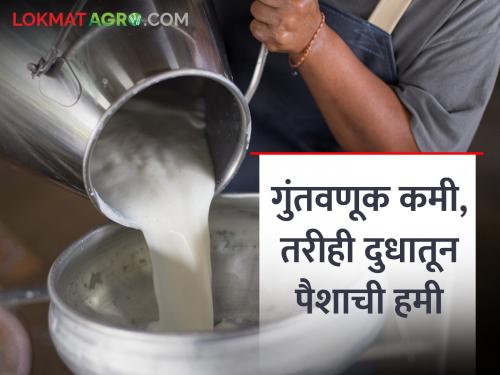 Double benefit through slurry, gas along with money in milk business | दुध व्यवसायात पैशाबरोबरच स्लरी, गॅसच्या माध्यमातून दुहेरी फायदा