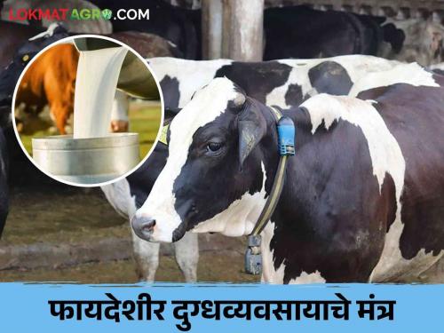 Farmers should keep such records if your dairy business is profitable | तुमचा दुग्धव्यवसाय फायद्यात चालवायाचा असेल तर शेतकऱ्यांनी अशा ठेवा नोंदी