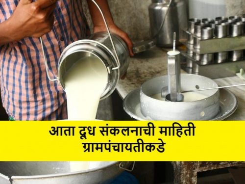 latest news give information about milk collection to gram panchayat office | अन्यथा 'त्या' दूध संकलन केंद्रावर कारवाई, नाशिक जिल्हा परिषदेचे महत्वपूर्ण पाऊल