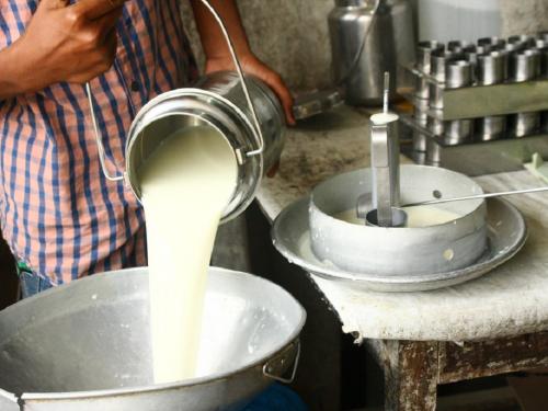 Action will also be taken against adulterated milk buying organizations | भेसळयुक्त दुध खरेदीदार संस्थांवरही कारवाई