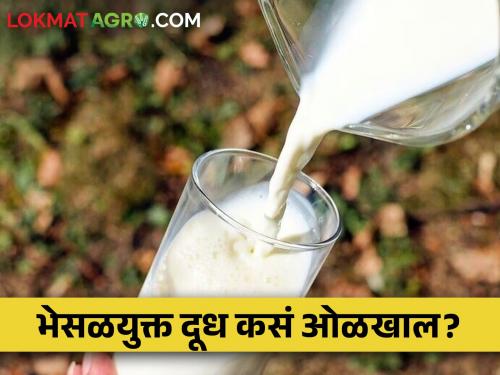 Adulteration in milk increased, how to recognize adulterated milk! | कधी युरिया तर कधी ऑक्सोटोसीनचे इंजेक्शन, भेसळयुक्त दुधाची विक्री