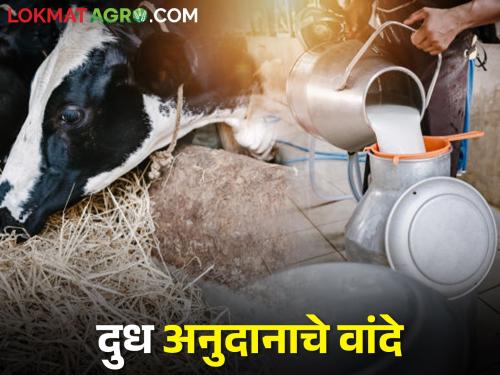 New GR comes for milk subsidy; There has been a change in the purchase price | दुध अनुदानासाठी आला नवीन जीआर; दुध खरेदी दरात झाला बदल