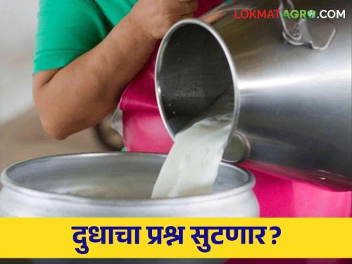 To solve the problem of additional milk in the state, invite Amul milk for solve this problem | राज्‍यातील दुधाचा प्रश्‍न सोडविण्‍यासाठी अमूल उद्योगाला साकडे