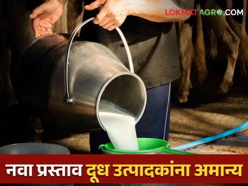 Latest News Give he price of milk 40 rupees per liter, demand of milk producers, farmers | Milk Rate Issue : दुग्धमंत्र्यांचा नवा प्रस्ताव दूध उत्पादकांना अमान्य, शेतकरी संघटनेची भूमिका काय? 