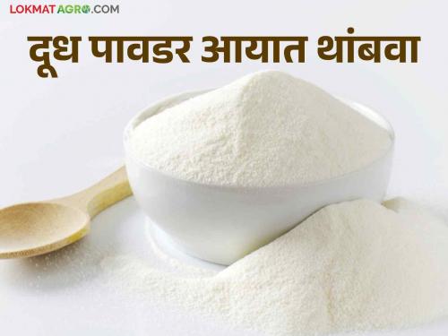 Milk Powder Import: The decision to import milk powder should be withdrawn; Raju Shetty's demand to the Central Government | Milk Powder Import दूध पावडर आयातीचा निर्णय मागे घ्यावा; राजू शेट्टी यांची केंद्राकडे मागणी