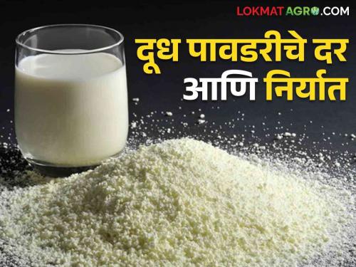 Milk Powder Export : Subsidy on milk powder exports but price fall in international market | Milk Powder Export : दूध पावडर निर्यातीला अनुदान पण आंतरराष्ट्रीय बाजारपेठेत दरात घसरण