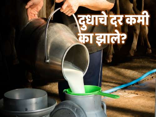 The demand for milk has decreased in the state | राज्यात दुधाची मागणी घटली