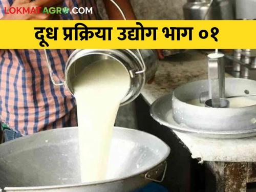 Overcome low milk prices; Milk processing industry will support | दुधाच्या कमी दरावर करा मात; दूध प्रक्रिया उद्योग देईल साथ