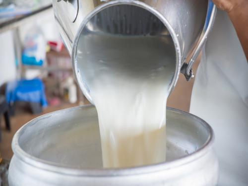 Increase in total milk production in Maharashtra compared to last four years | मागील चार वर्षाच्या तुलनेत महाराष्ट्रात एकूण दूध उत्पादनात वाढ
