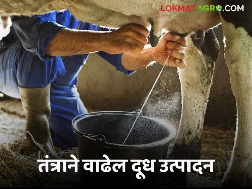 Milk Production : Transplant Technique Adopt in a Milk production Farmers will benefit | Milk Production : भ्रूण प्रत्यारोपण तंत्राने वाढेल दूध उत्पादन; शेतकऱ्यांना होणार फायदा