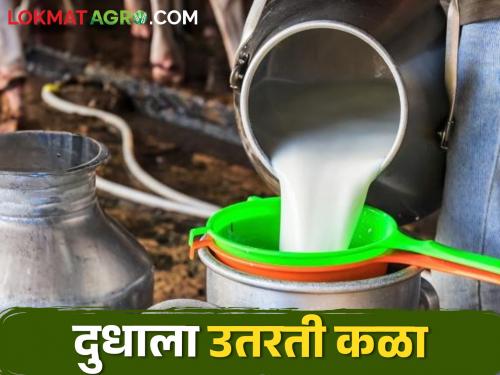 How did the milk price change during the year; Decrease by how much Rs | Milk Rate वर्षभरात दूध दरात कसा झाला बदल; किती रुपयांनी घट