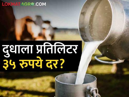 Latest News Milk will get Rs 35 per litre, Vikhe Patil's statement in maharashtra Assembly | Milk Rate : दुधाला प्रतिलिटर 35 रुपये दर मिळणार का? विखे पाटील यांचे विधानसभेत निवेदन
