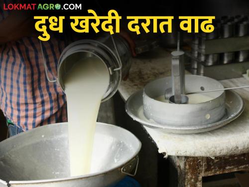 Increase in milk procurement rate due to increase in demand of dairy products during summer | उन्हाळ्यात दुग्धजन्य पदार्थांची मागणी वाढल्याने दूध खरेदी दरात वाढ