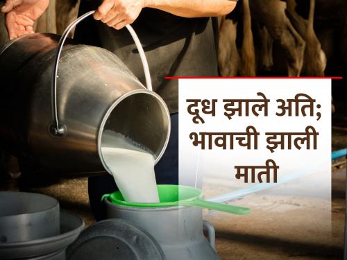 milk rate continuously decreasing; Stop milk adulteration now | दुधाच्या भावाची माती; आता तरी दुध भेसळ थांबवा