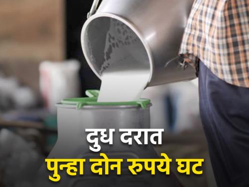 Even though the government has fixed the milk price, the milk unions have further reduced it | शासनाने दुध दर निश्चित करूनही दुध संघांनी केली त्यात अजून घट