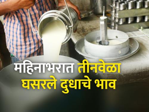 Milk price continues to decline | दूध दरात घसरण कायम; शेतकरी चिंतेत