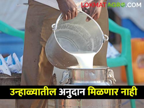 Milk subsidy: farmers will not get milk subsidy for summer period of 110 days | Milk subsidy: उन्हाळ्यातील ११० दिवसांच्या दूध अनुदानावर शासनाची फुली