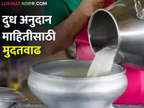 Milk information can be filled till Tuesday for Milk Subsidy | Milk Subsidy अनुदानासाठी ३० एप्रिल पर्यंत दुधाची माहिती भरता येणार