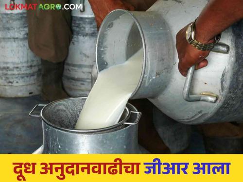 Milk Subsidy Update: Increase in milk subsidy from October; GR came | Milk Subsidy Update : ऑक्टोबर पासून दूध अनुदानात होणार वाढ; जीआर आला