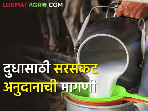 Production of half a million liters of milk from eight districts; subsidy only for Co-operative Milk Unions | आठ जिल्ह्यातून सव्वा कोटी लिटर दूध उत्पादन; अनुदान मात्र सहकारी दूध संघांना