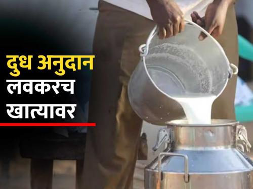 Dudh Anudan: Conditions in milk subsidy will also be relaxed, subsidy amount will soon be in farmers' account | Dudh Anudan: दूध अनुदानातील अटी शिथील, अनुदानाची रक्कम लवकरच शेतकऱ्यांच्या खात्यावर